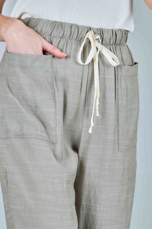 Textured Solid Woven Pants - Plus
